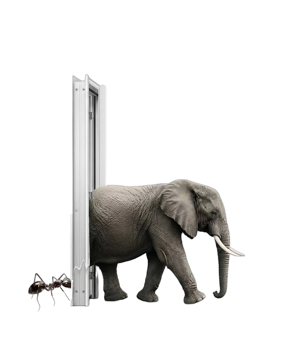 Un elefante entrando por una puerta mientras una hormiga espera al lado